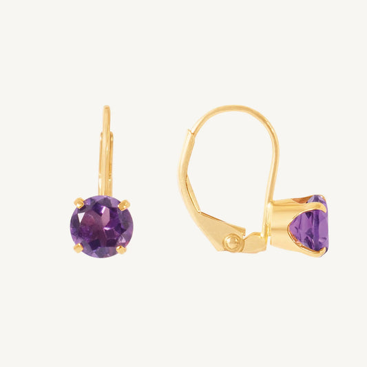 Cat Amethyst Earrings Jewelmak Shop